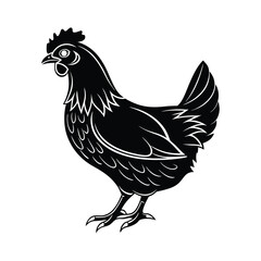 Hen Vector silhouette isolated on a white background