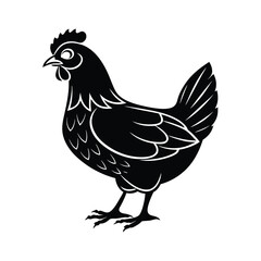 Hen Vector silhouette isolated on a white background
