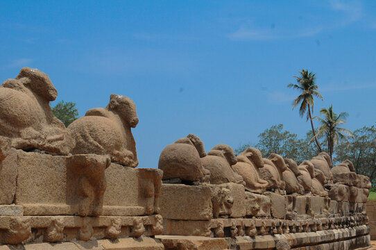 Famous Tamil Nadu landmark, UNESCO world heritage - Shore temple, world heritage site in Mahabalipuram,South India, Tamil Nadu, Mahabalipuram