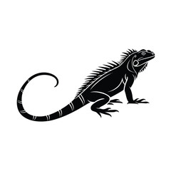 Iguana silhouette 