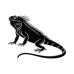 Iguana silhouette 