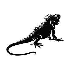 Iguana silhouette 