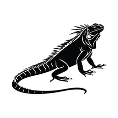Obraz premium Iguana silhouette 