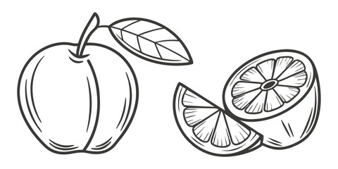 Fresh Fruit Vector Illustration: Apple and Lemon Slice Design for Graphics