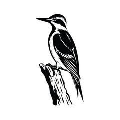 Fototapeta premium Woodpecker minimalist silhouette design vector art