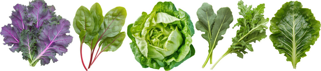 Collection of Nutritious Leafy Greens