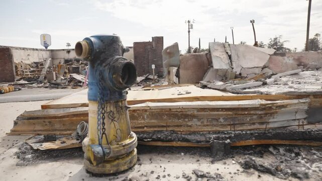 Businesses destroyed in Altadena after the fire