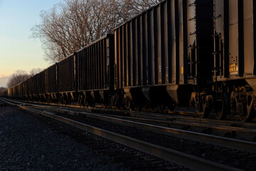 Fototapeta premium Row of train hoppers in late afternoon light