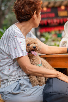 A Senior Woman Holds A Small Dog While Sitting At A Food Park