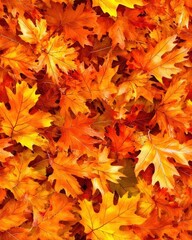 Pile of vibrant autumn leaves in various colors creating a beautiful natural scene on the ground