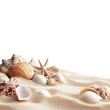Sand and sea shells beach theme background isolated png image