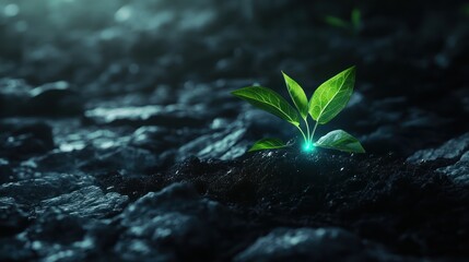 Resilient sprout emerges from dark soil, glowing, nighttime