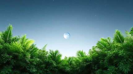 Fototapeta premium A full moon hangs in a twilight sky above a dense jungle. Lush green palm fronds fill the foreground and bottom of the frame. The image is high-resolution, with soft lighting creating a tranquil mood.