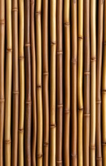 Fototapeta premium Interlaced sushi bamboo mat texture isolated background 