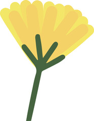 Fototapeta premium floral branch flowers and leaves spring season