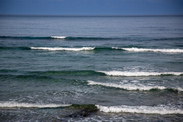 奄美の自然、奄美の春。