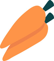 Fresh vegetable carrots