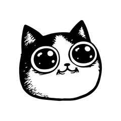 Funny Cat Face