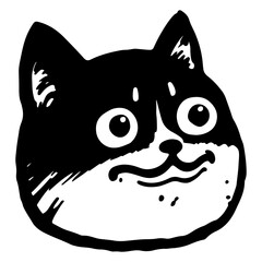 Funny Cat Face