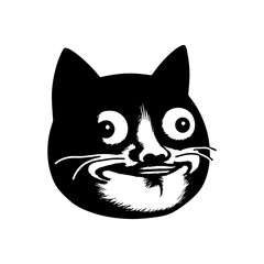 Funny Cat Face