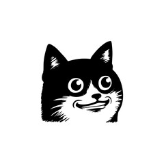 Obraz premium Funny Cat Face