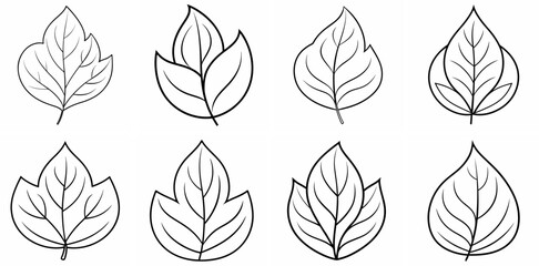 Fototapeta premium Leaf – Outline Coloring Book Line Art Set