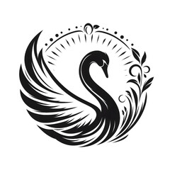 A very beautiful black and white duck