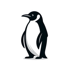 penguin isolated on white background