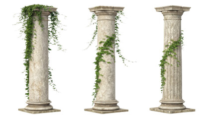Ancient pillars adorned with lush green vines create serene atmosphere, showcasing nature beauty intertwined with classic architecture