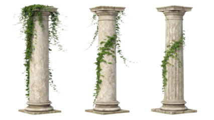 Ancient pillars adorned with lush green vines create serene atmosphere, showcasing nature beauty intertwined with classic architecture