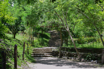 Photograph of ascending stone stairs surrounded by trees and vegetation