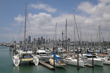Fototapeta premium Auckland Neuseeland / Auckland New Zealand /