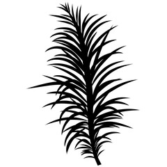 Fototapeta premium Palm silhouette 