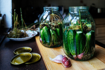 Two jars of homemade pickles cucumbers on wooden sticks