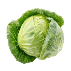 Fototapeta premium cabbage isolated on white