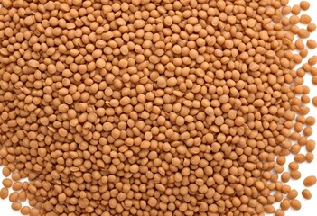 Lentils cereal isolated on white