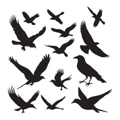 Obraz premium Flock of flying birds silhouette vector, Flying bird black silhouette vector set
