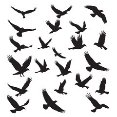 Obraz premium Flock of flying birds silhouette vector, Flying bird black silhouette vector set