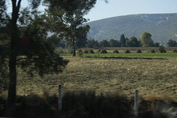 Fototapeta premium paisaje con colinas verdes y fondo azul, con arboles laterales y campos de cultivo y llano