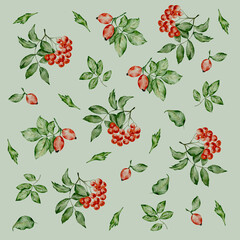 Autumn pattern with leaves, rowan and rose hips on a light green background.