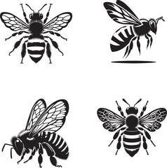 Swarm of Honey Bees