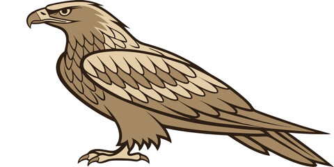 Fototapeta premium Elegant Vector Eagle Illustration for Nature and Wildlife Designs