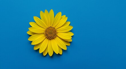 Obraz premium Sunny Bloom: Vibrant Yellow on Blue AI Generated