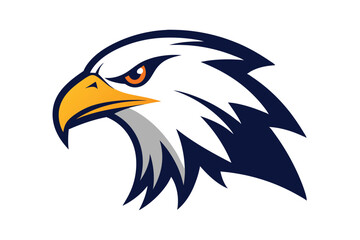 Obraz premium american bald eagle