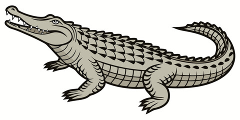 Detailed Vector Illustration of a Crocodile, Perfect for Wildlife Graphics
