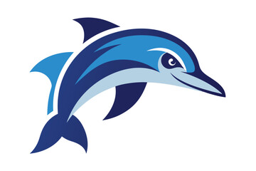 dolphin isolated on white background