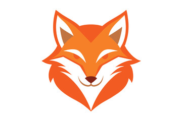 Obraz premium red fox head