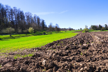 Scenic view of rural landscape of organic farm with freshly ploughed field at Swiss City of Zürich...