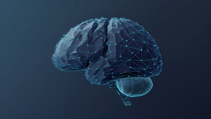 Polygonal human brain illustrating neural network and data flow