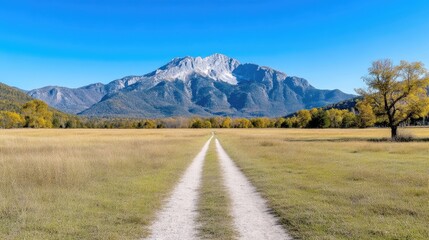 Fototapeta premium Mountain Road Autumnal Landscape Vivid Colors High Definition Wide Angle View Grass Textured Path Journey Ahead Majestic Mountain Range Bright Sunny Mood Ideal for Travel Brochures